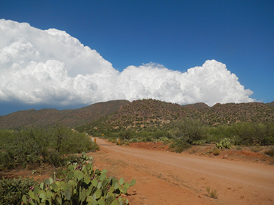 Trail behind the park